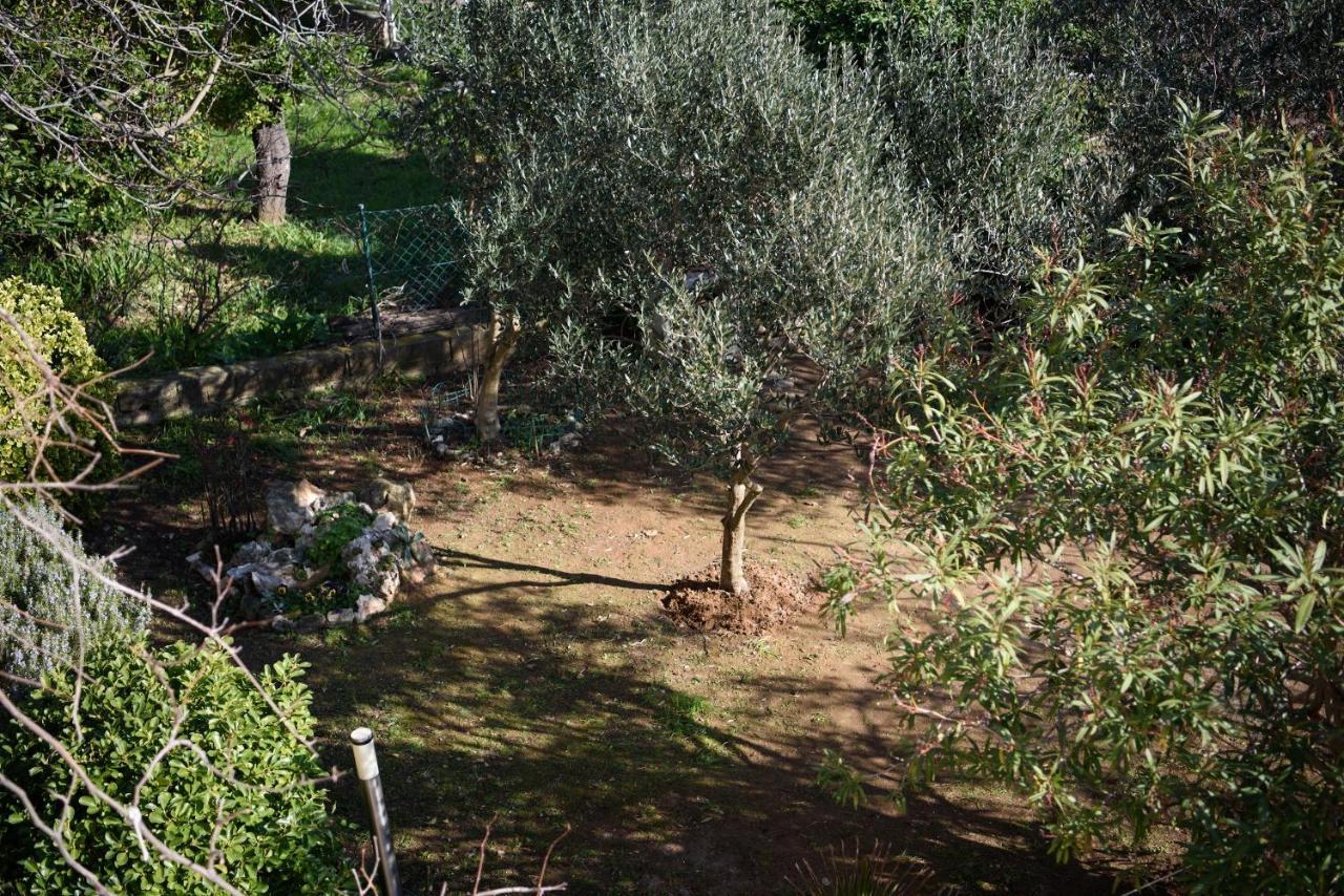 Villa Claudia Lemon Appartment Premantura Εξωτερικό φωτογραφία