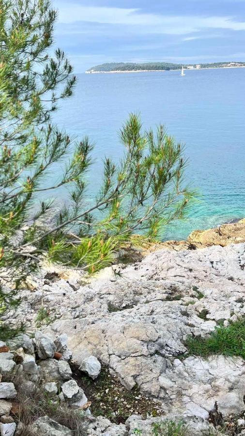 Villa Claudia Lemon Appartment Premantura Εξωτερικό φωτογραφία